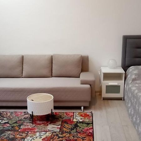 Appartamento Piata Muzeului 1 Cluj-Napoca Esterno foto