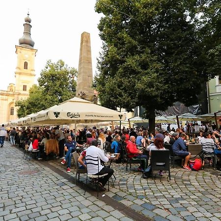 Appartamento Piata Muzeului 1 Cluj-Napoca Esterno foto