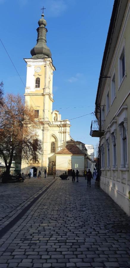 Appartamento Piata Muzeului 1 Cluj-Napoca Esterno foto